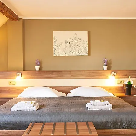 Hotel Wellness Kocanda Decin