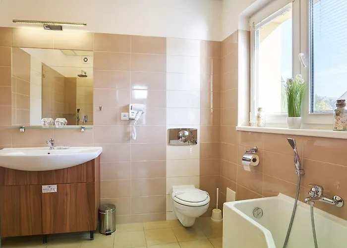 Wellness Kocanda Hotel Decin