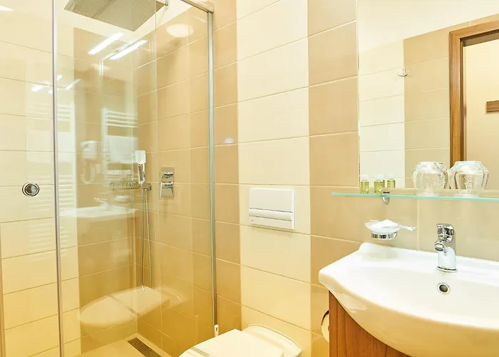 Hotel Wellness Kocanda 4*
